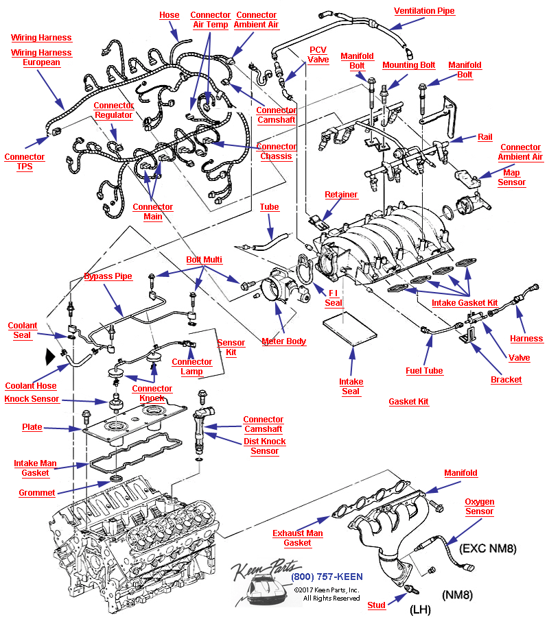 Engine Assembly- Manifolds and Fuel Related-LS1 Diagram for a 2012 Corvette
