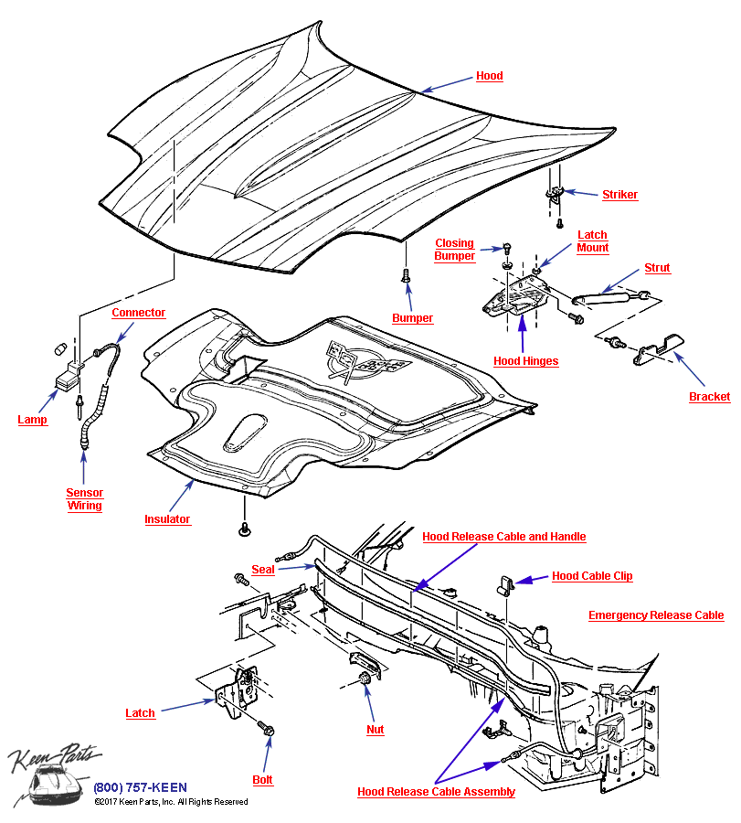 Hood Diagram for a 2024 Corvette