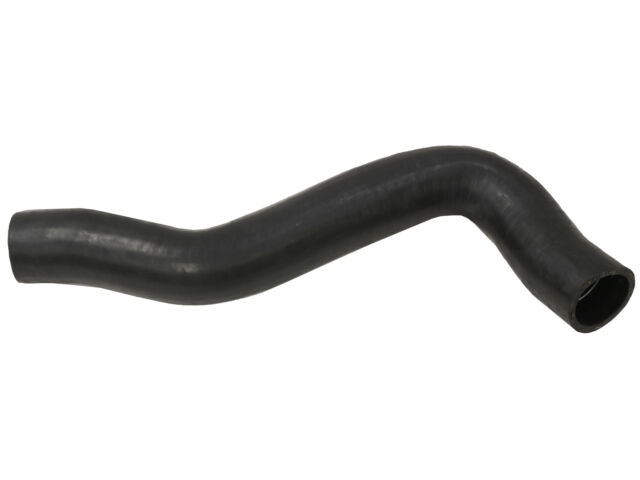 Corvette Lower Radiator Hose