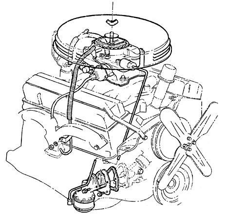 Carburetor & Fuel Line